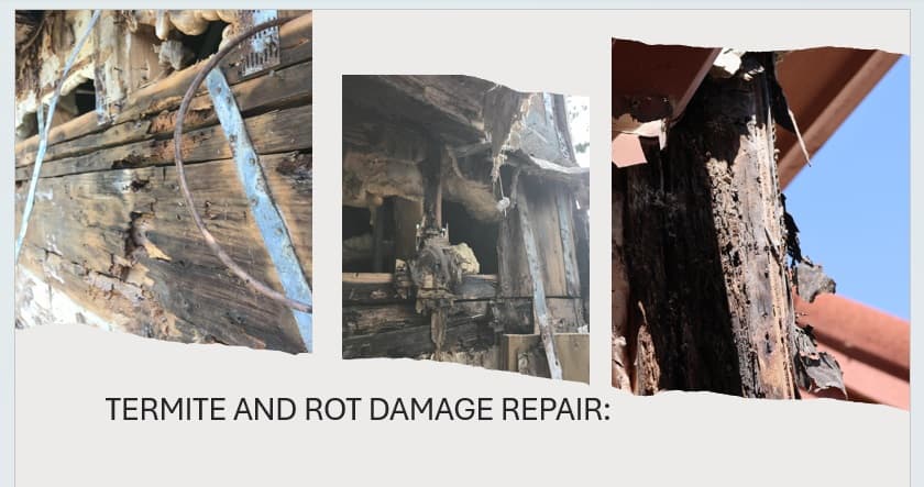 Termite and rot damage structural repair